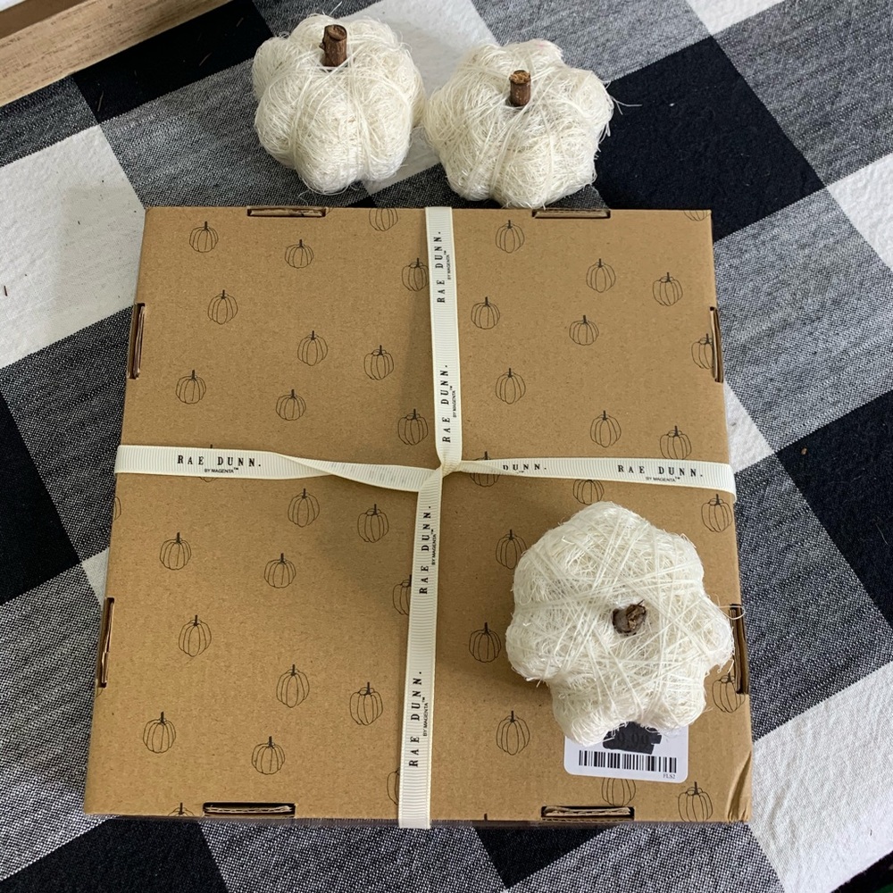 NWT🎃Rae Dunn Pumpkin Themed 4 Piece Coaster Set - Picture 5 of 6